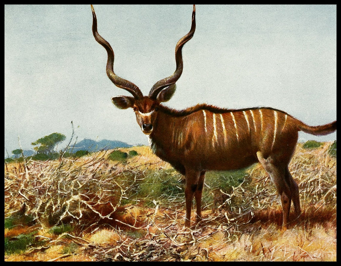 Kudu