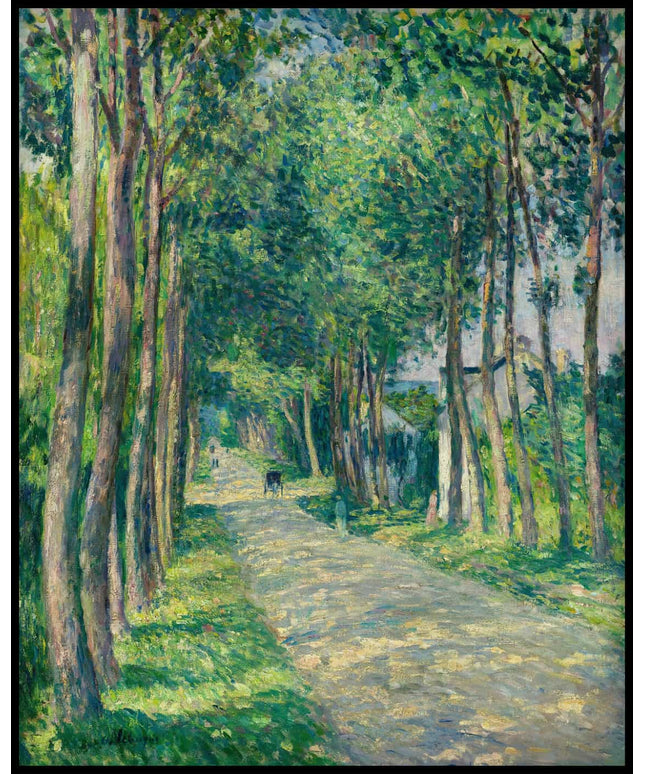 Attelage Sur Une Route Ensoleillée