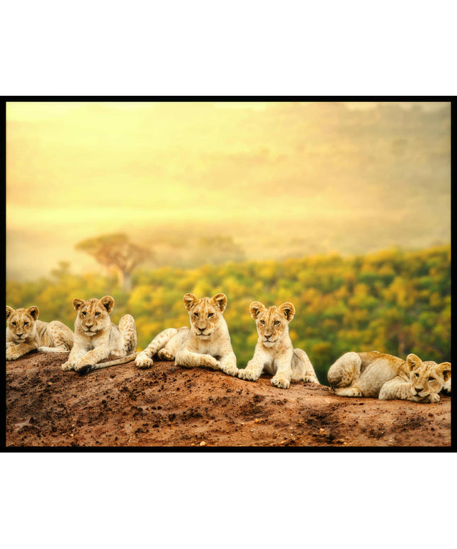 Ein Poster von fünf jungen Löwen, die auf einem Hügel sitzen, mit einer weiten afrikanischen Savannenlandschaft im Hintergrund.
