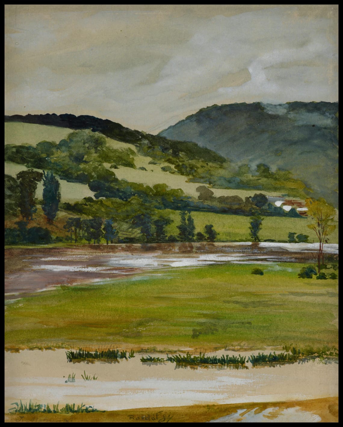 Paysage printanier de Rozdół