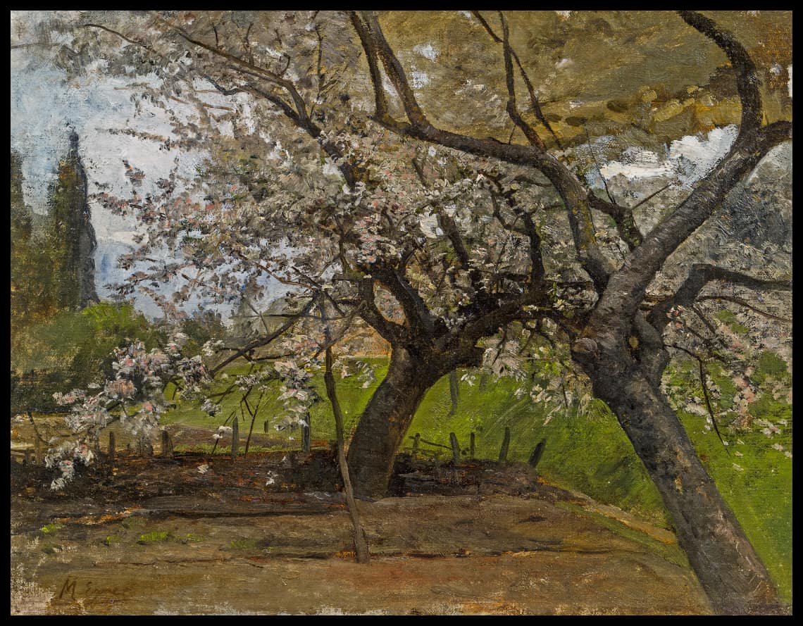 Arbres fruitiers en fleurs