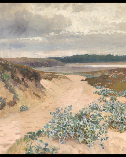 Dünenlandschaft in der Bretagne