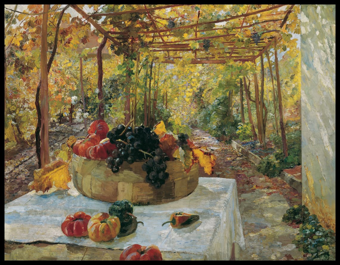 Dans la pergola