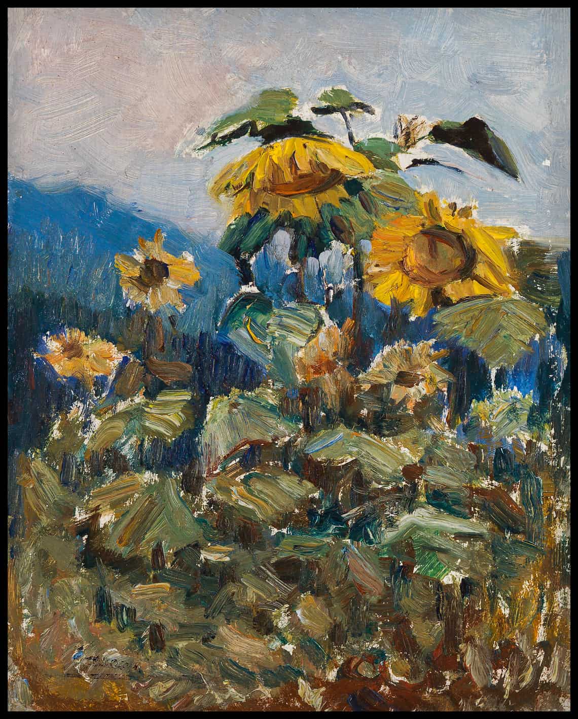 Étude sur le tournesol