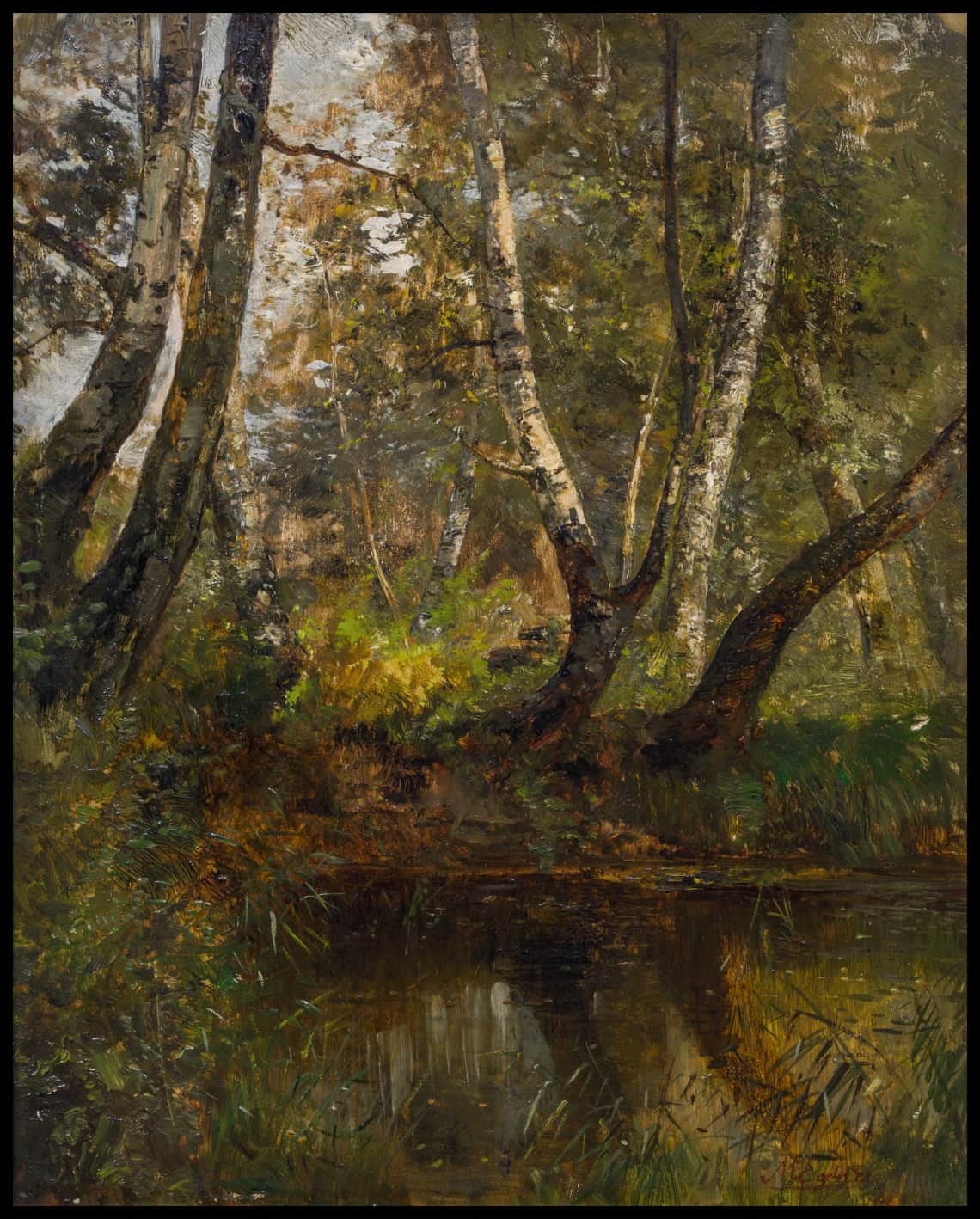 Angle de la forêt