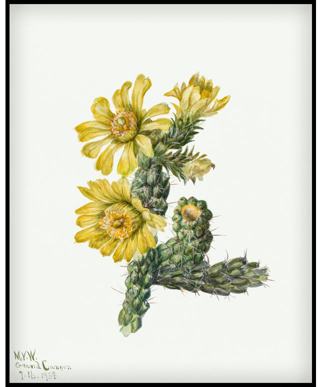 Mary Vaux Walcott Poster