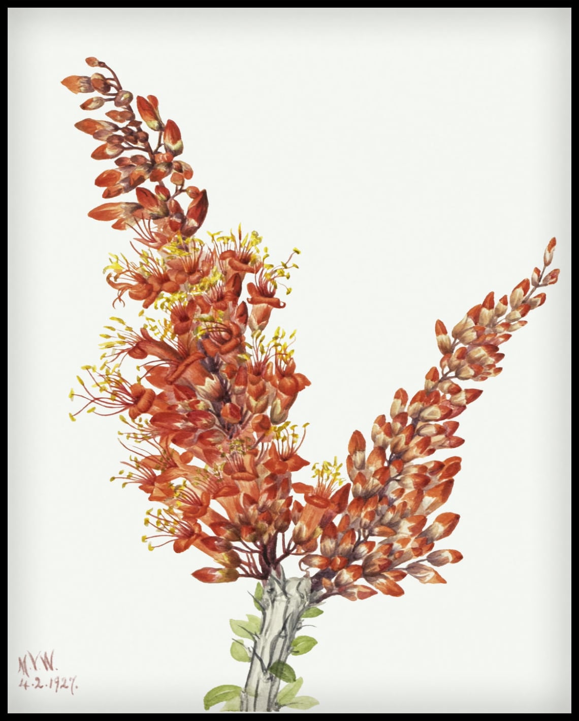 Mary Vaux Walcott Poster