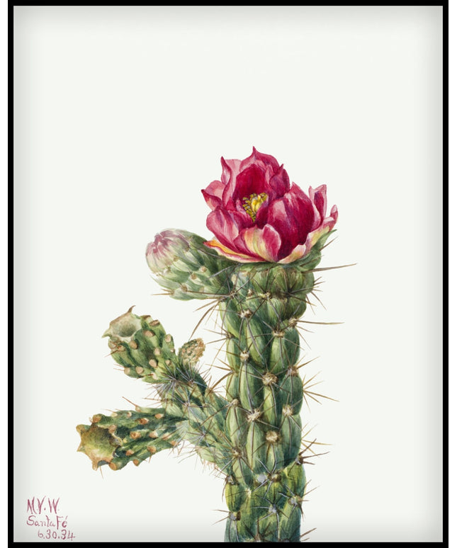 Mary Vaux Walcott Poster