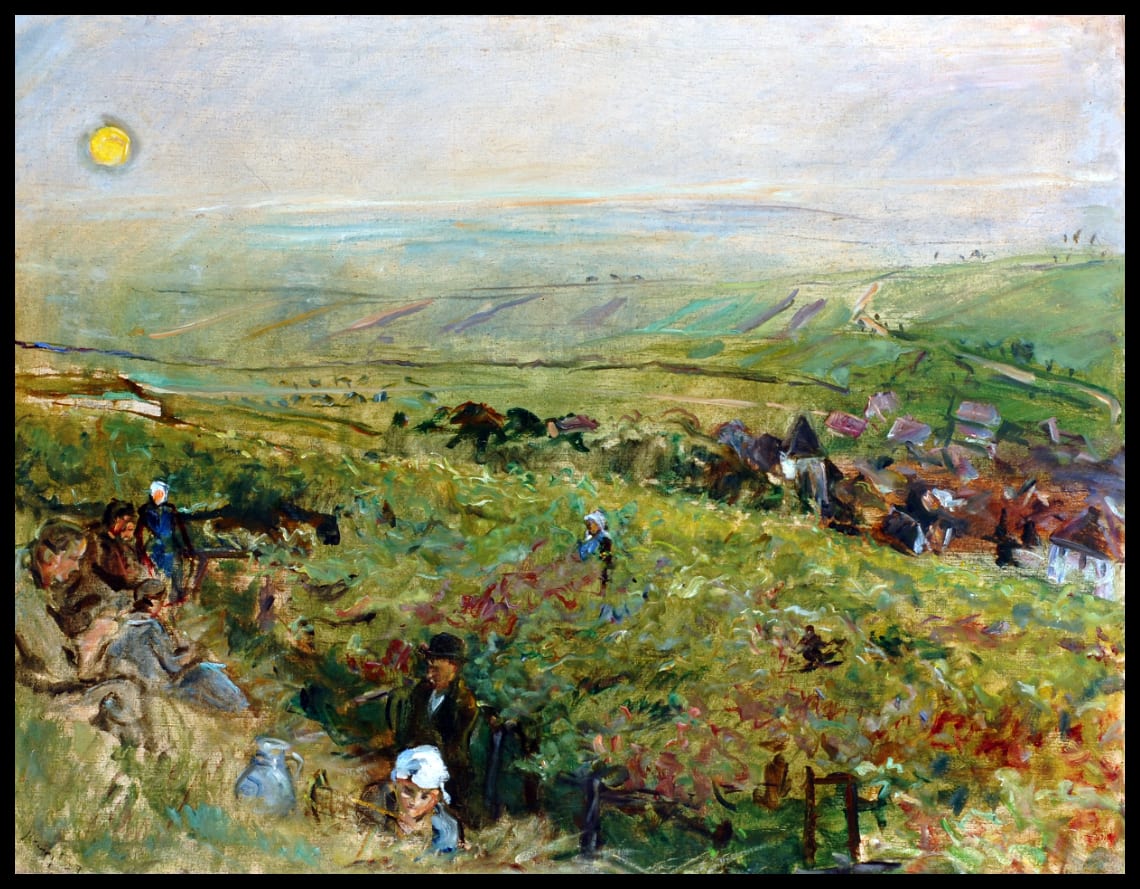 Weinlese in der Pfalz