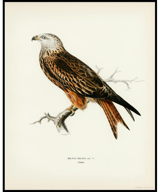 Milvus Milvus Poster