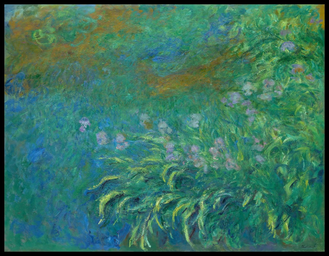 Irises