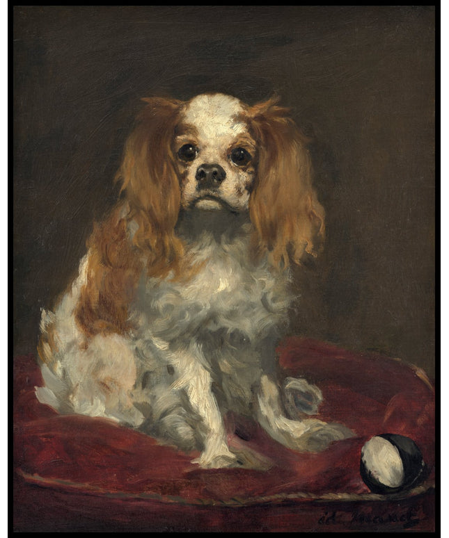 King Charles Spaniel