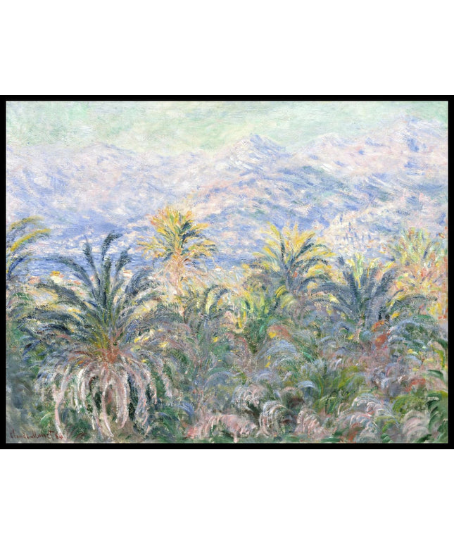 Palm Trees at Bordighera