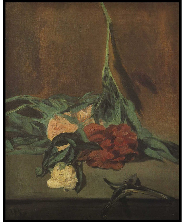 Pfingstrosenstängel und Gartenschere