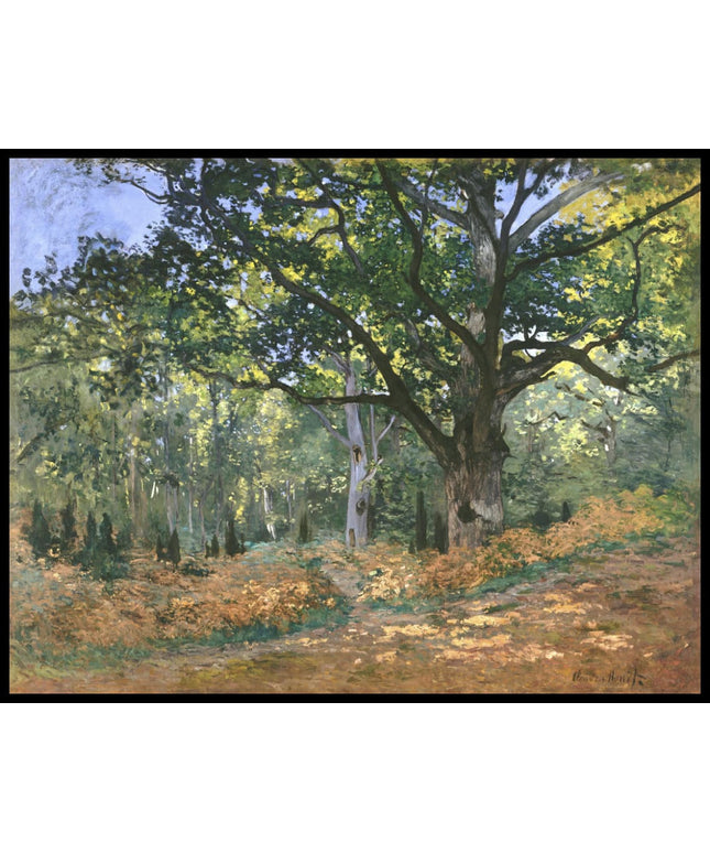The Bodmer Oak, Fontainebleau Forest