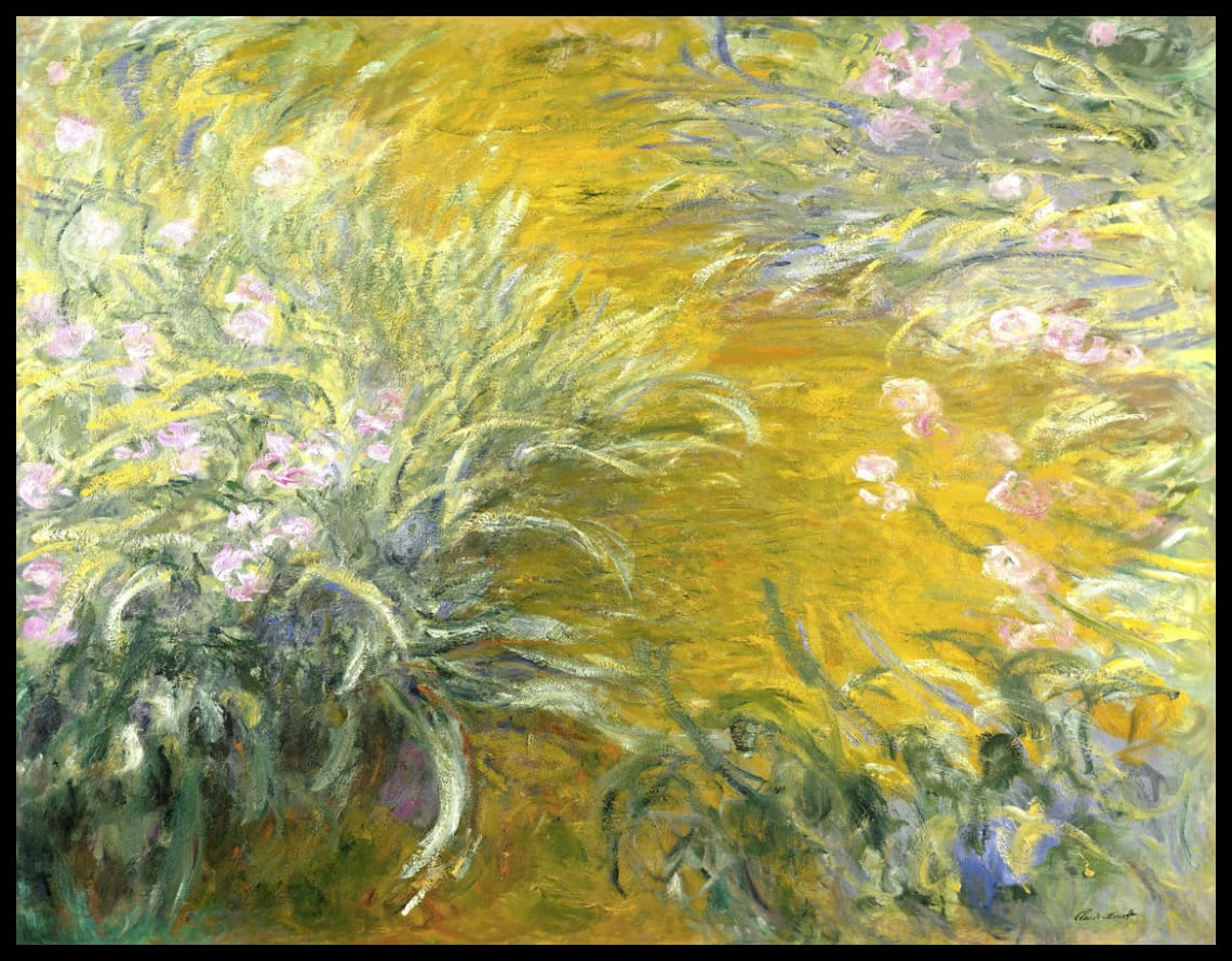 The Path through the Irises