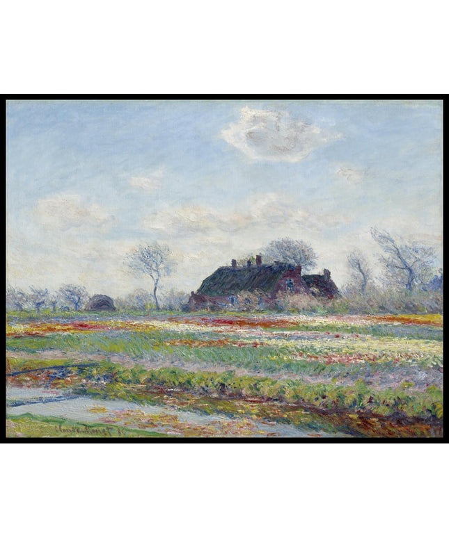 Tulip Fields At Sassenheim