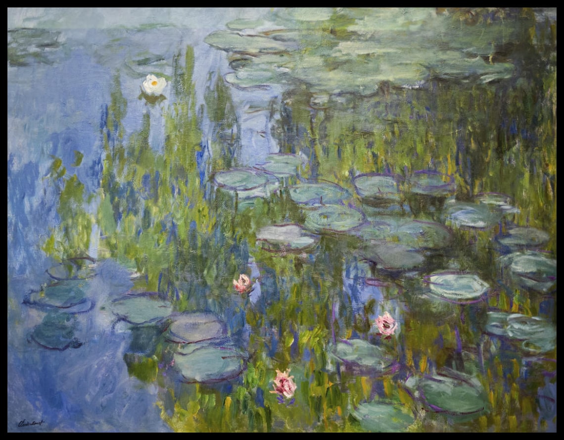 Lilies d'eau