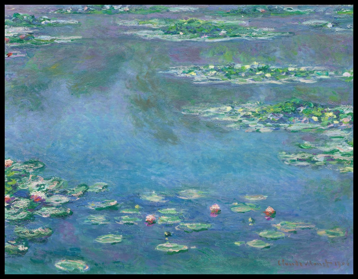 Lilies d'eau