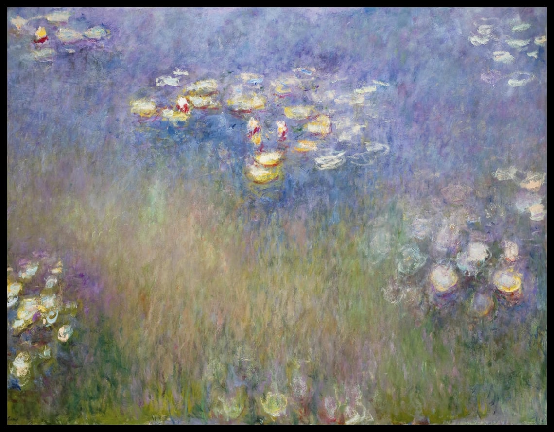 Lilies d'eau