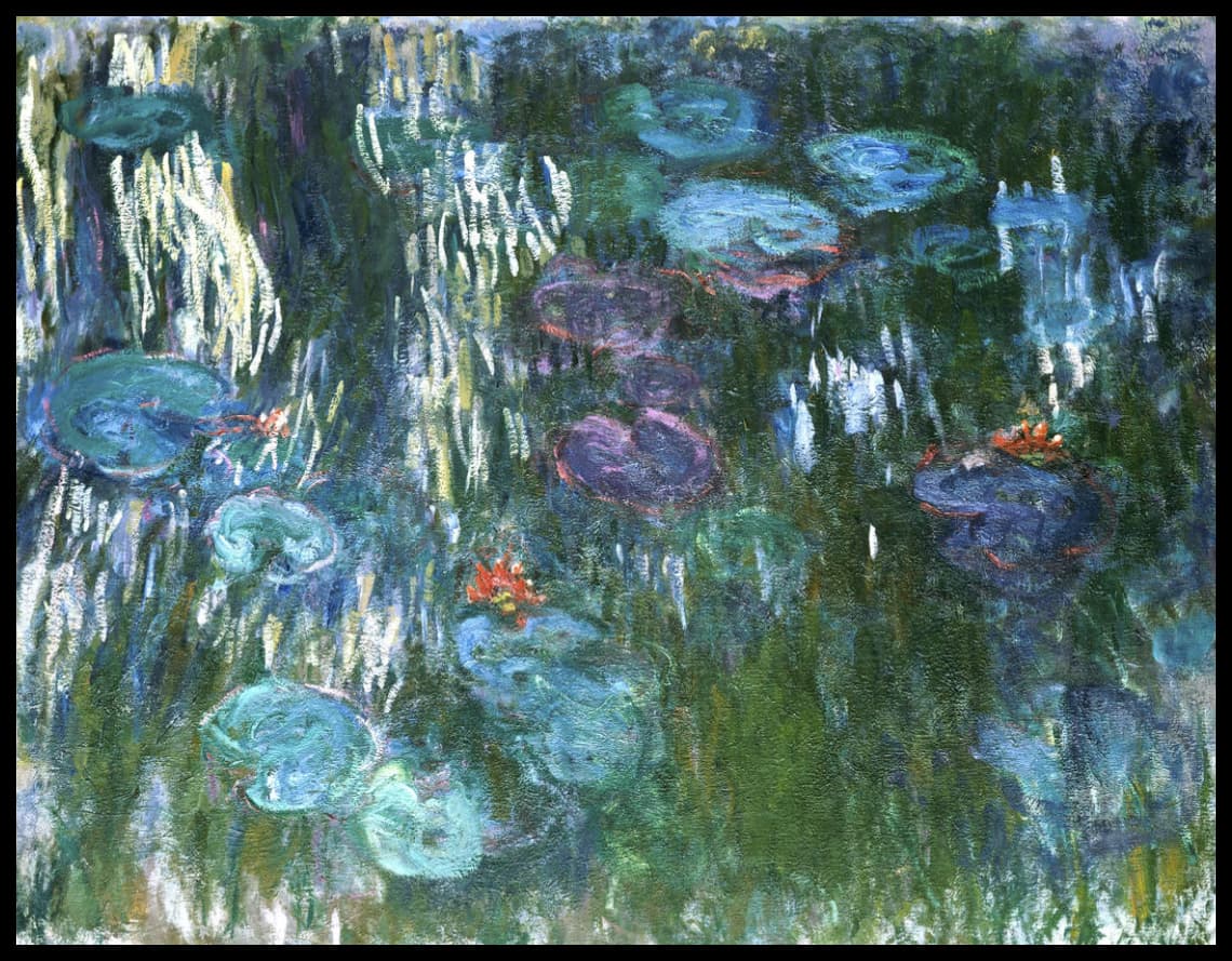 Lilies d'eau