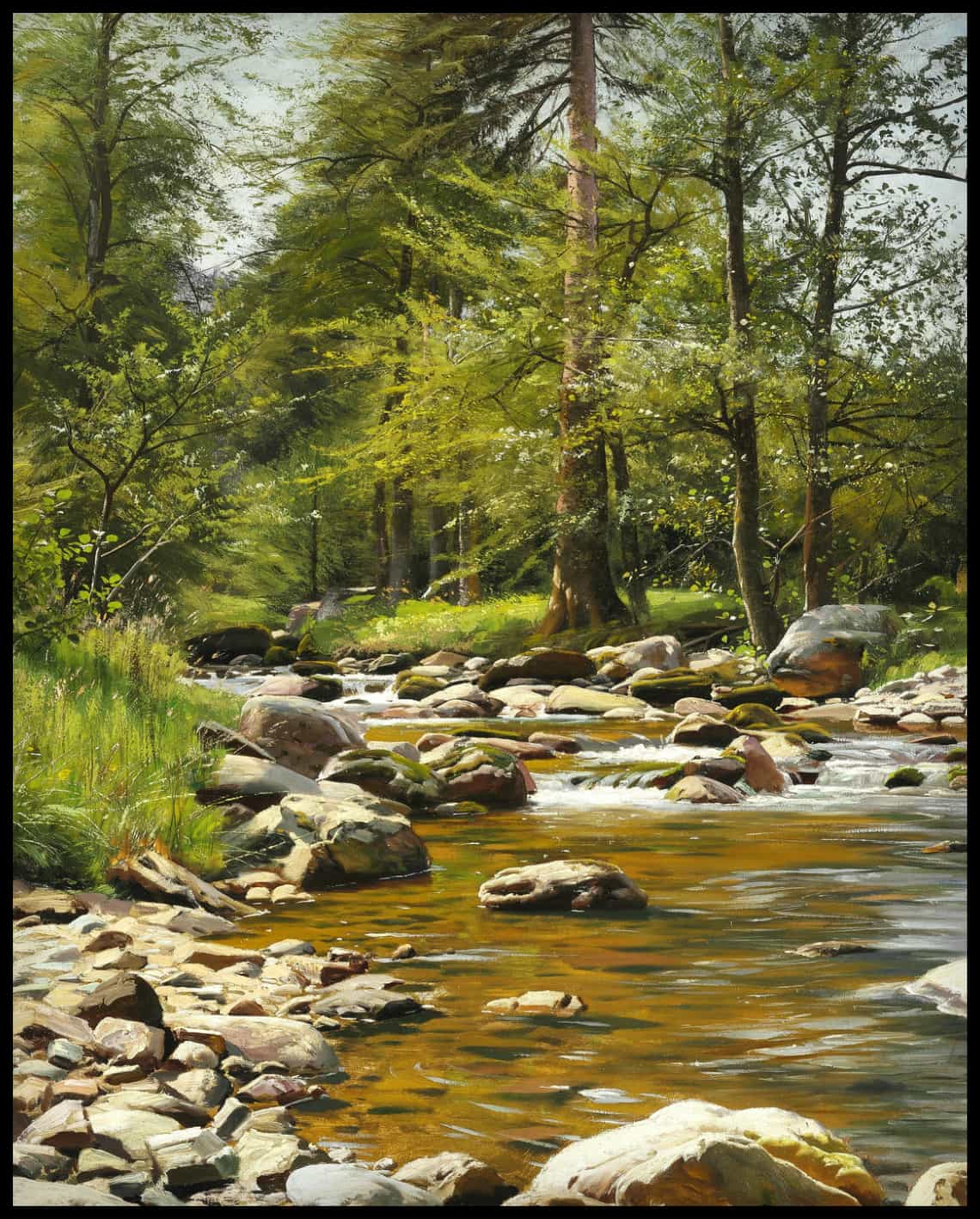 Am Waldbach im Frühsommer