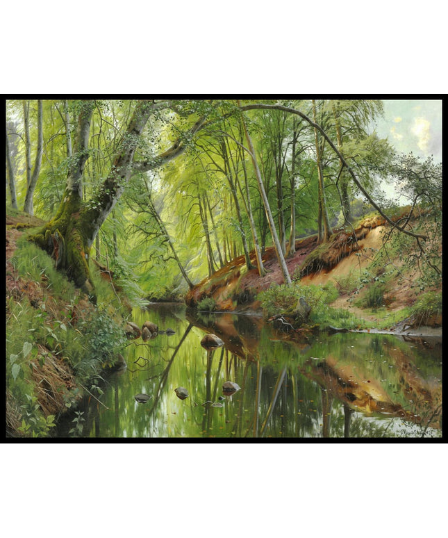 Spiegelung einer Buche im Bach