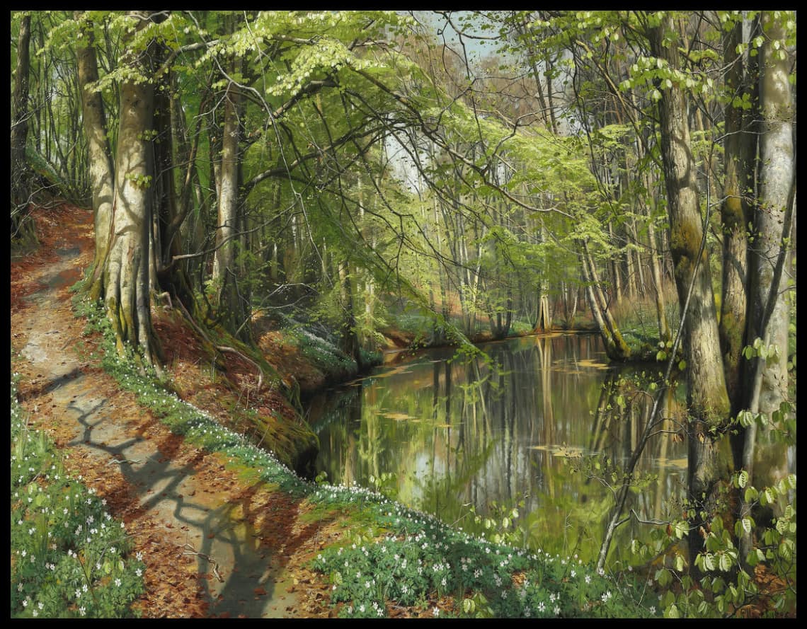 Une journée de printemps dans la forêt