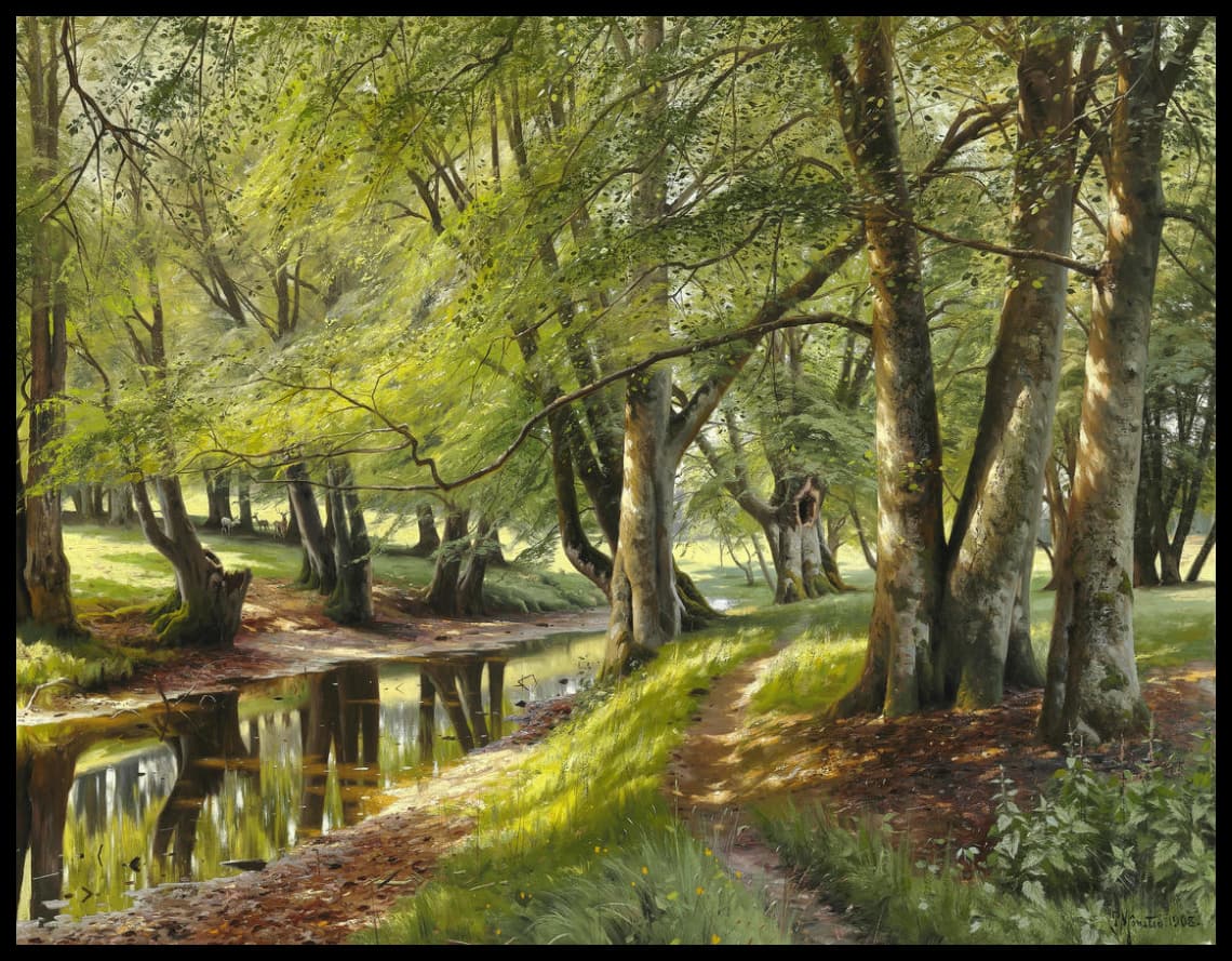 A summer day in the forest
