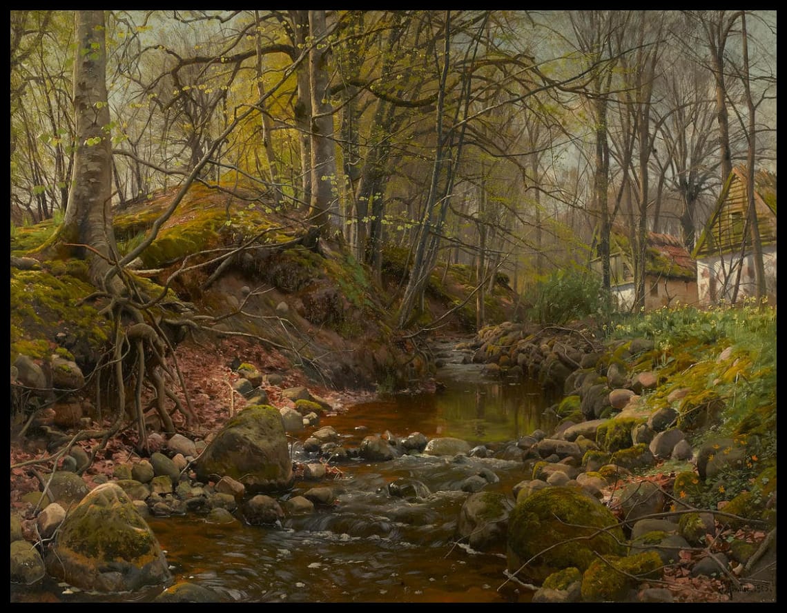 Ein Waldbach
