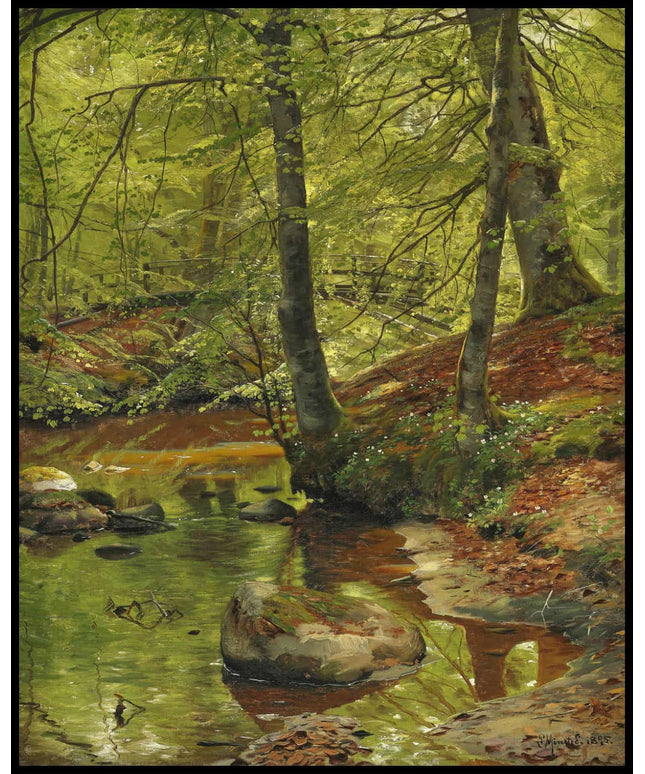 Frühlingstag mit Buschwindröschen