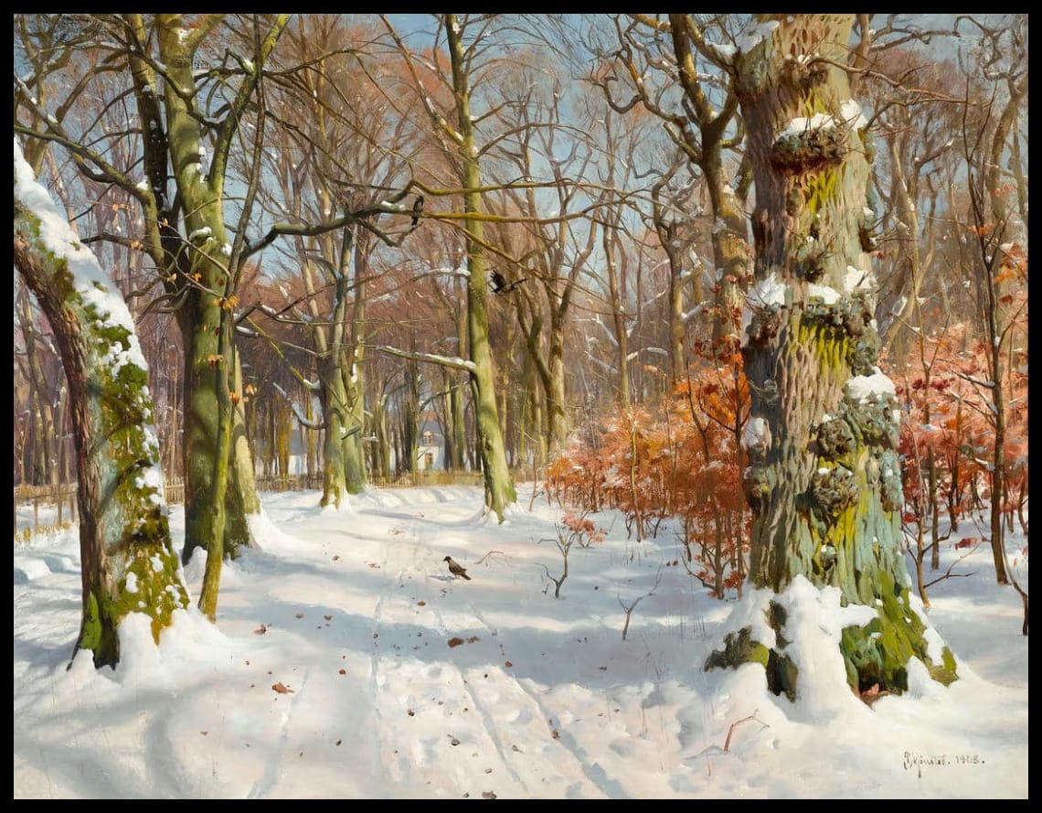 Im Charlottenlunder Wald