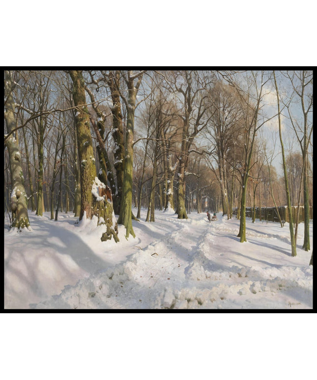 Schneebedeckter Waldweg im Sonnenlicht