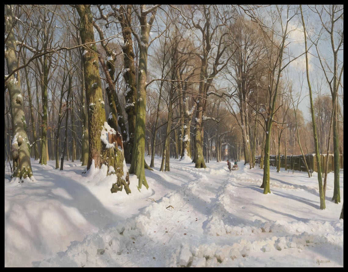 Snow-covered forest path in the sunlight