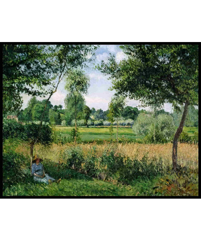 Morning Sunlight Effect