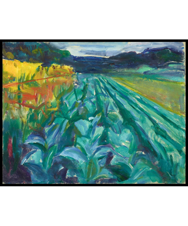Cabbage Field