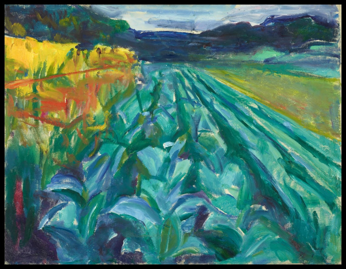 Cabbage Field