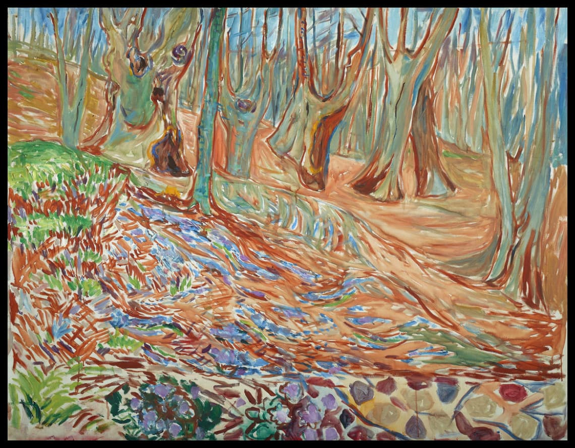 La forêt d'Elm au printemps