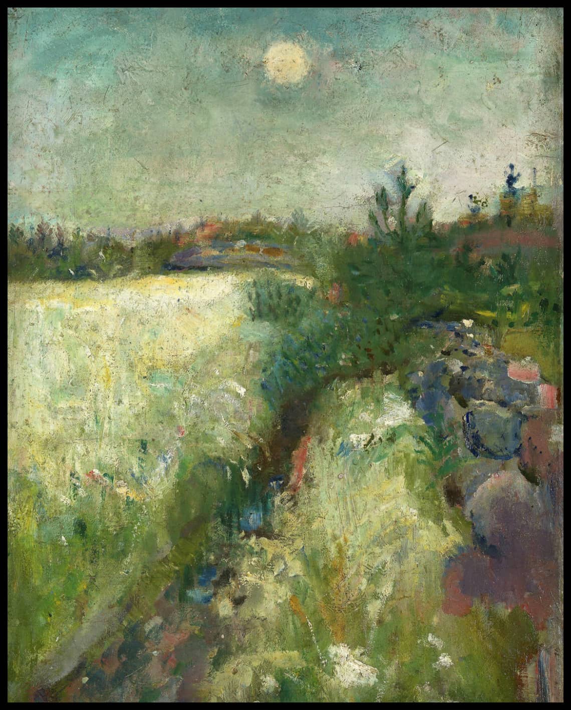 Prairie fleurie au Veierland