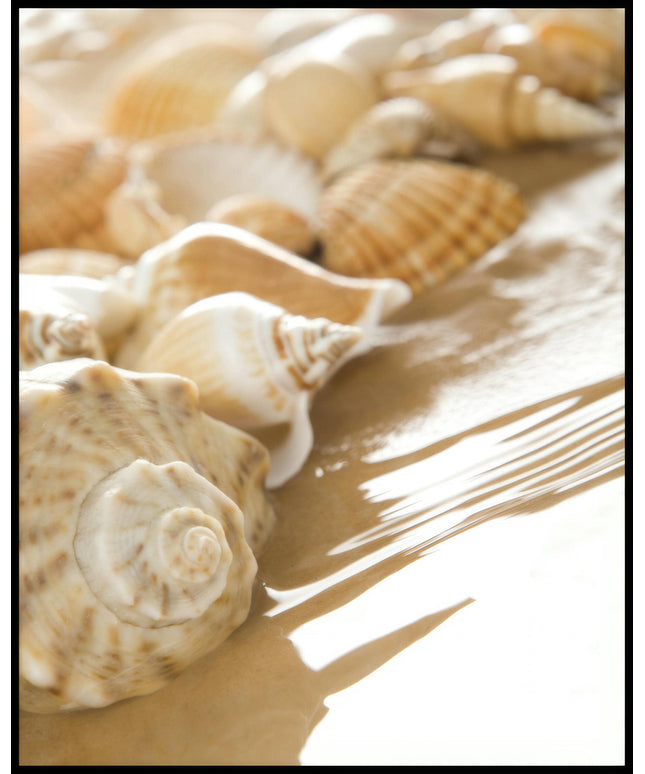 Ein Poster von Muscheln, die am Rand eines sandigen Strandes liegen, teilweise vom Wasser umspült.