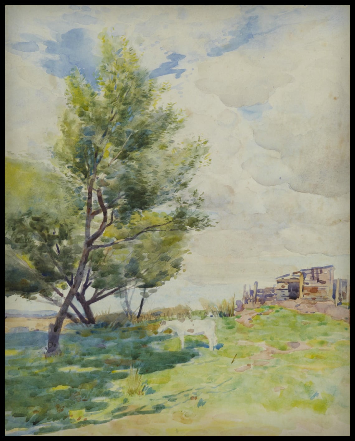 Paysage de la vallée de Hutt