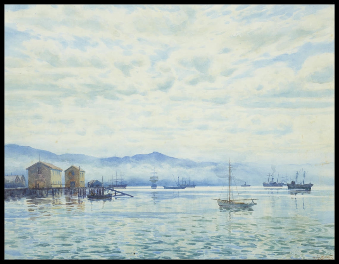 Port de Wellington 1902