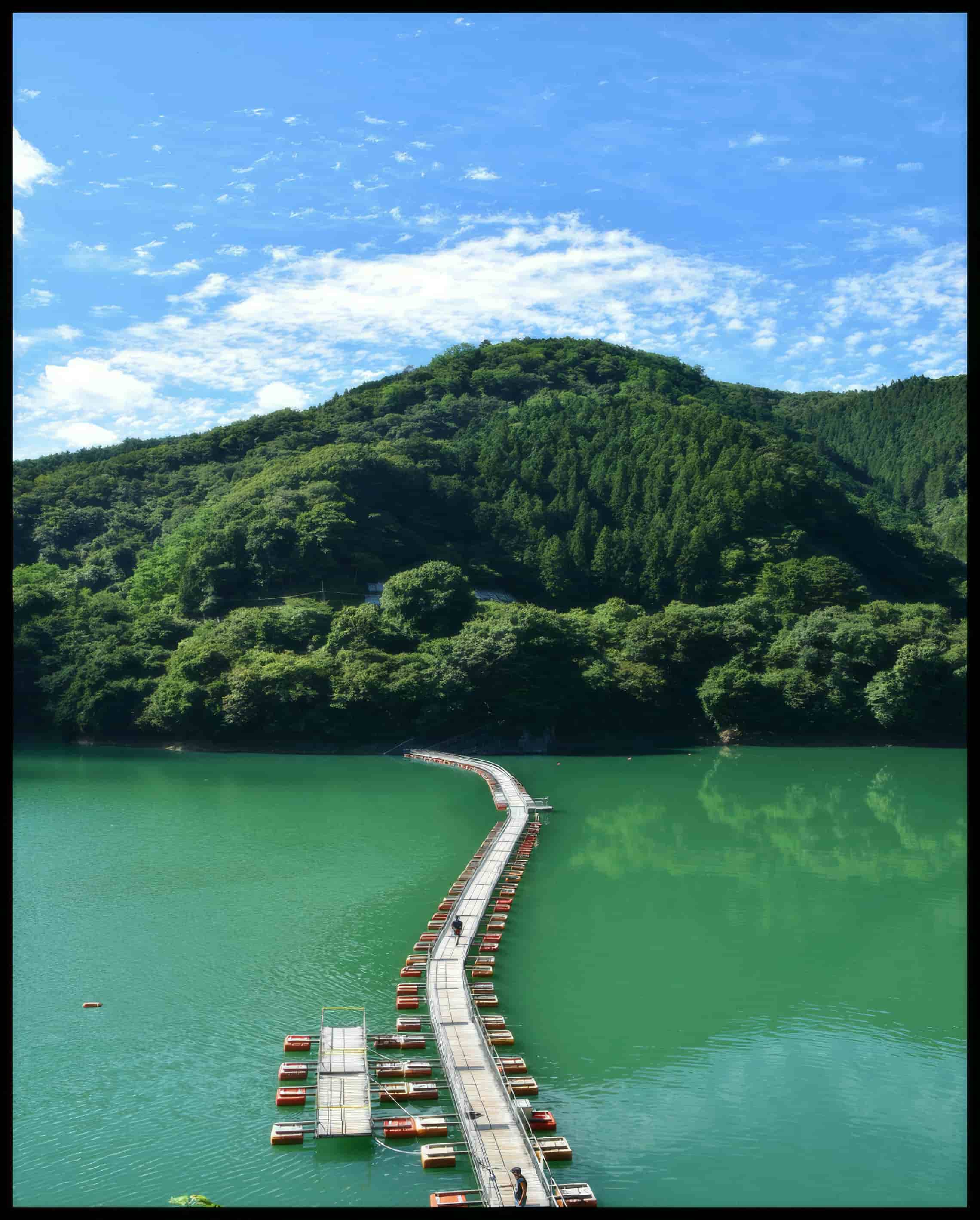 Ein Poster von einer schwimmenden Brücke auf einem grünlichen See, die in einen Wald hinein führt.