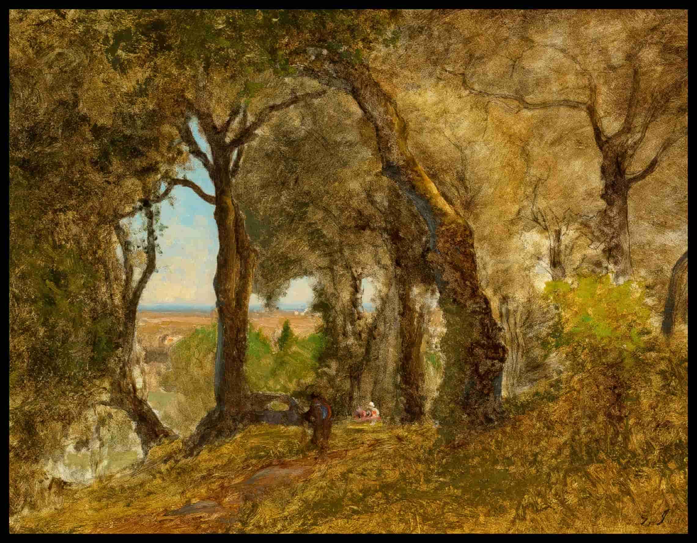 Olives Albano Italy