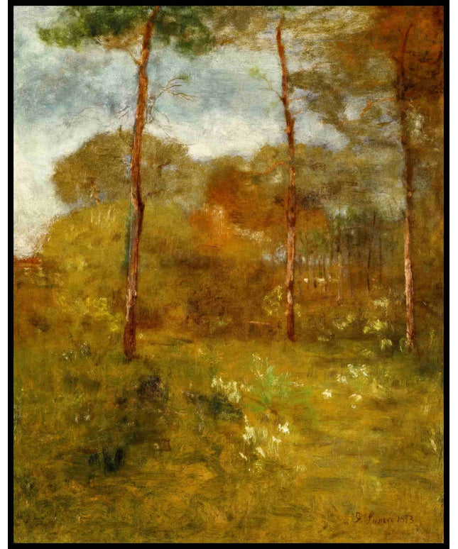 Orange Road Tarpon Springs