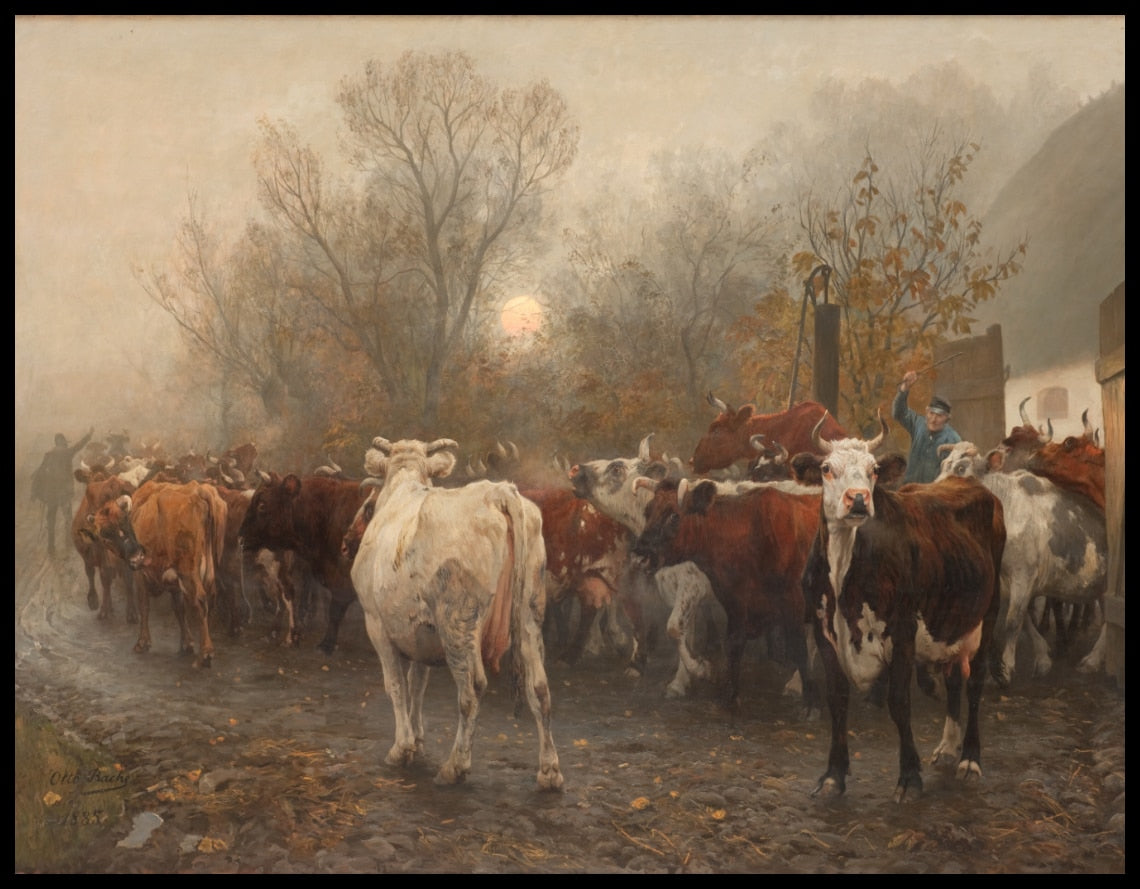 Driving Cows out of the Cowhouse (conduire les vaches hors de la ferme)