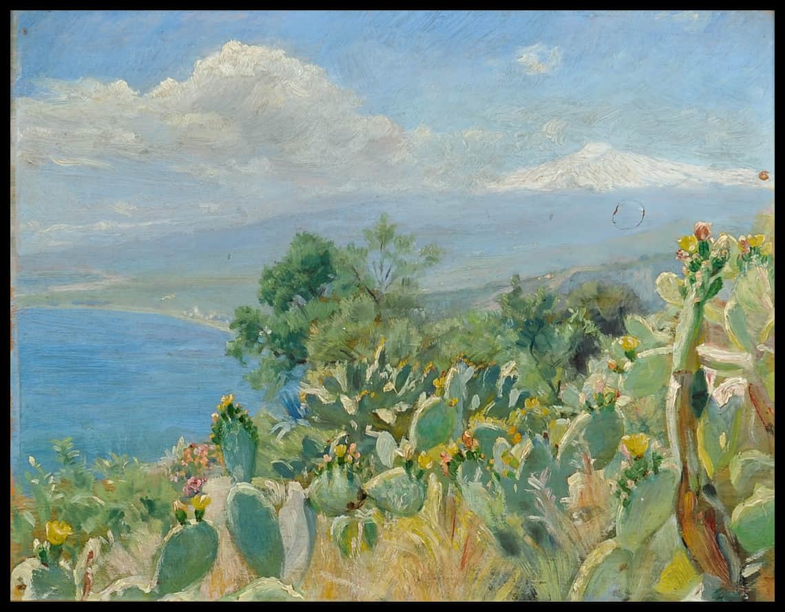 Blomstrende Kaktus