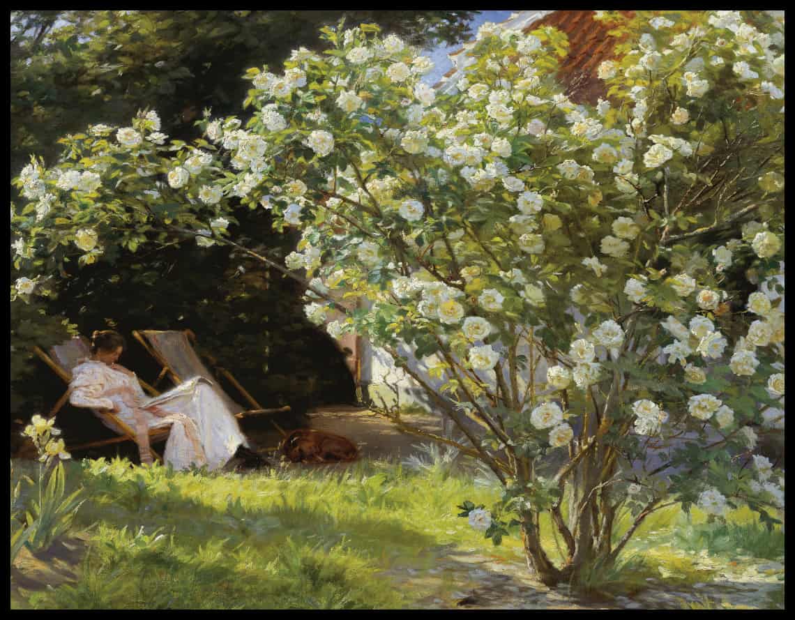 Roses. Marie Krøyer seated in the deckchair in the garden by Mrs Bendsen's house