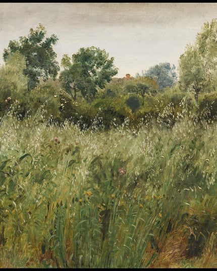 Field of Oats near Vejby