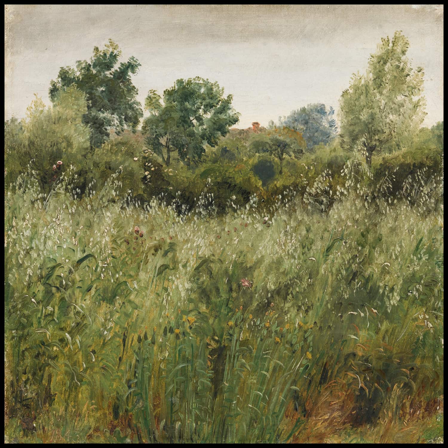 Field of Oats near Vejby
